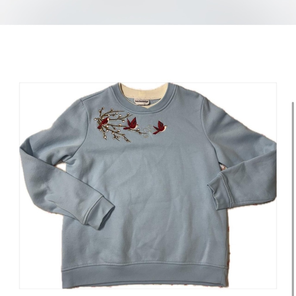 Winter Blue Sweatshirt with Bird Embroidery